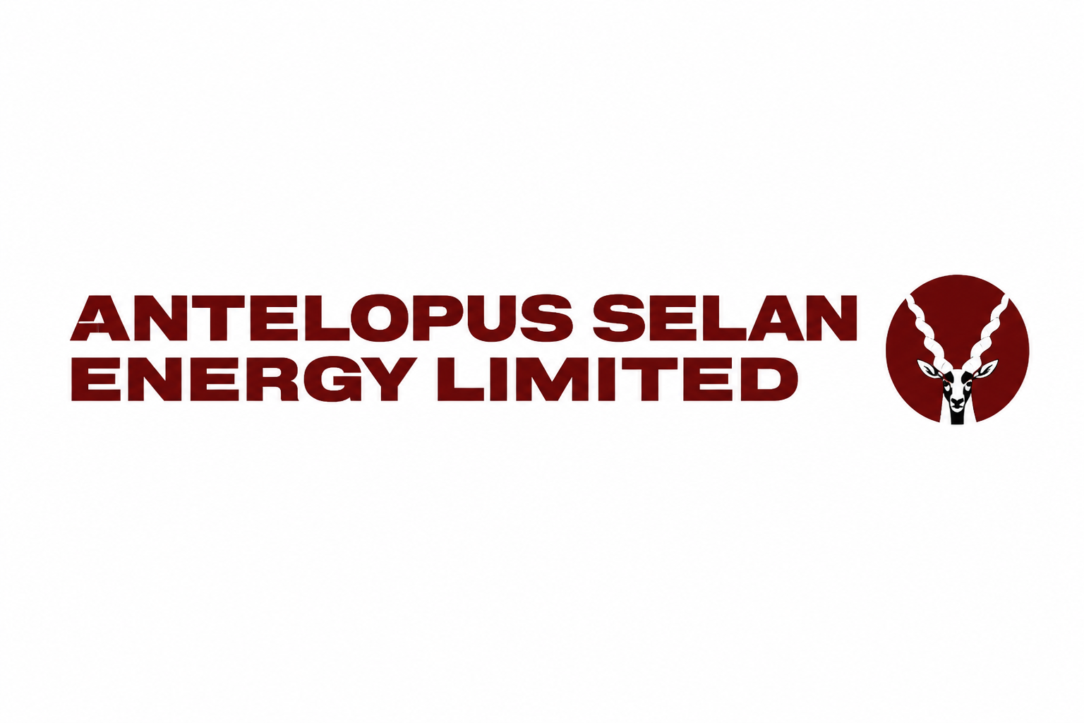 Antelopus Selan Energy Limited official logo
